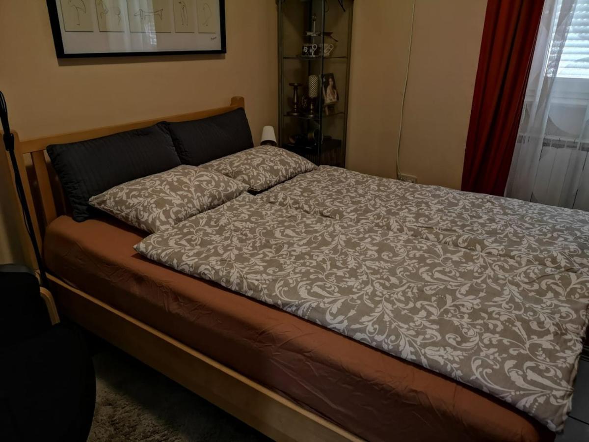 Apartment Lisinski S زغرب المظهر الخارجي الصورة